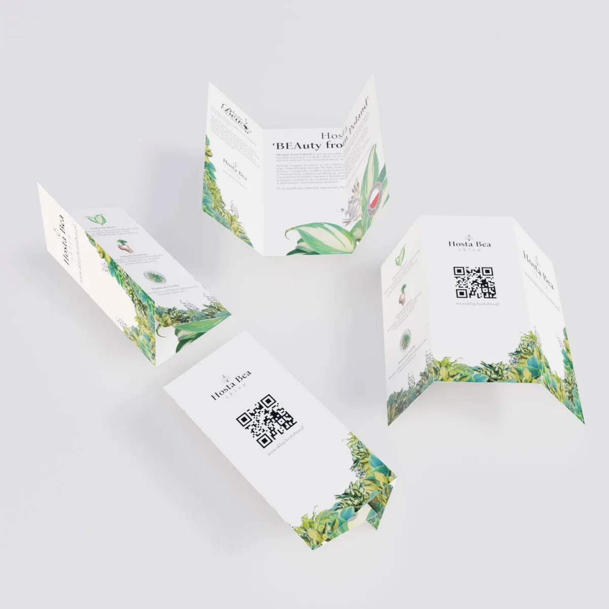 Ulotka Hosta Bea — mockup